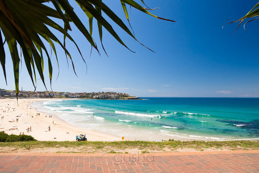 Photo of Bondi Beach SYD2296 - Gusha