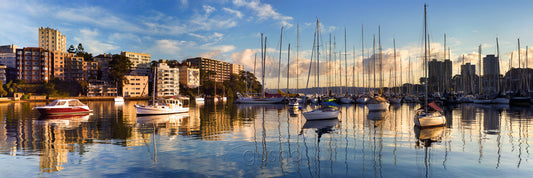 Photo of Rushcutters Bay SYD2530 - Gusha