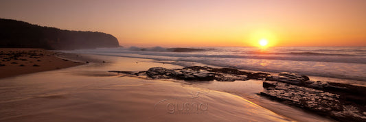 Photo of Turimetta Beach SYD2645 - Gusha