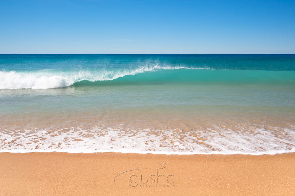 Photo of Collaroy Beach SYD2673 - Gusha