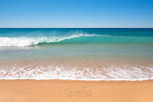 Photo of Collaroy Beach SYD2673 - Gusha