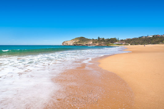 Photo of Warriewood Beach SYD2722 - Gusha