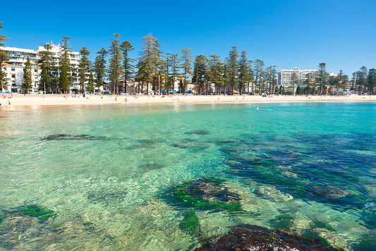 Manly Beach SYD2729