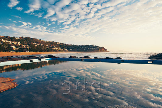 Whale Beach Photo