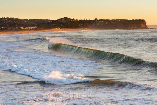 Photo of Warriewood Beach SYD2876 - Gusha