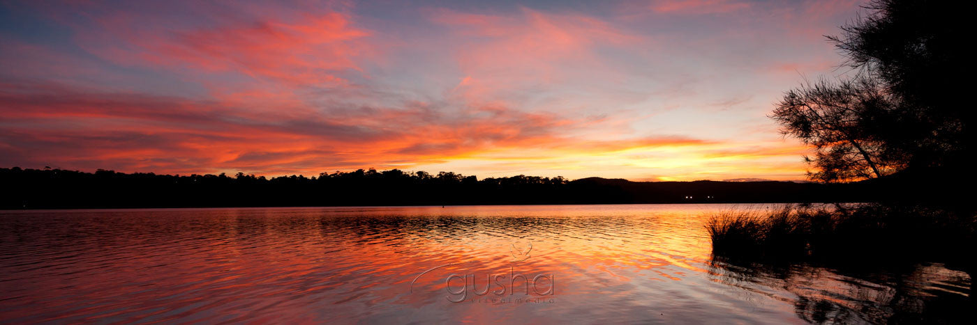 Photo of Narrabeen Lake SYD2922 - Gusha