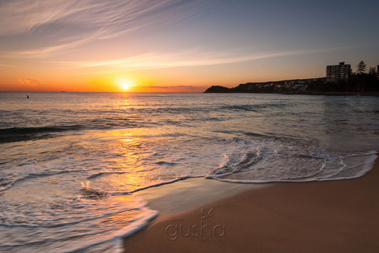 Photo of Manly Beach SYD2943 - Gusha