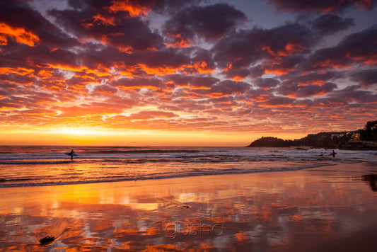 Photo of Manly Beach SYD2992 - Gusha