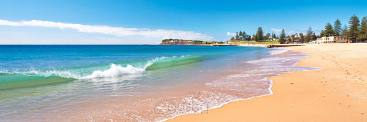 Photo of Collaroy Beach SYD3050 - Gusha