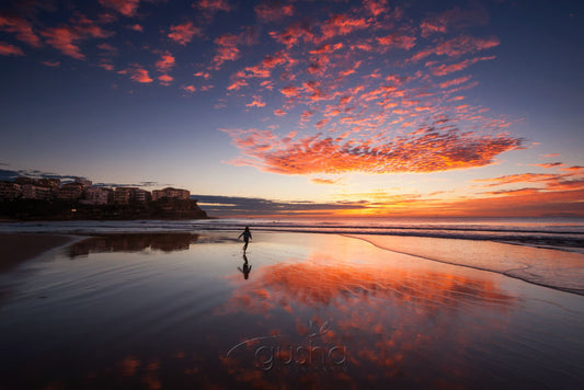 Photo of Queenscliff Beach SYD3070 - Gusha