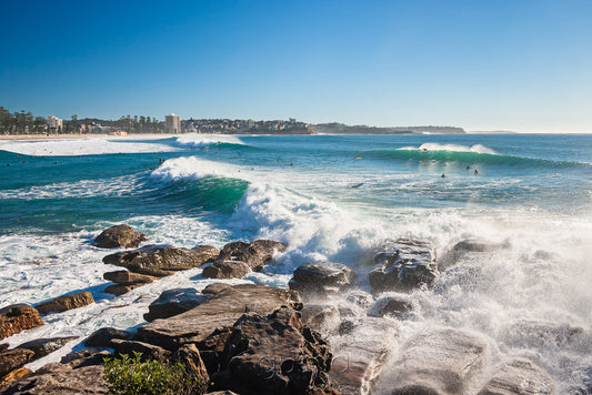 Manly Beach SYD3084