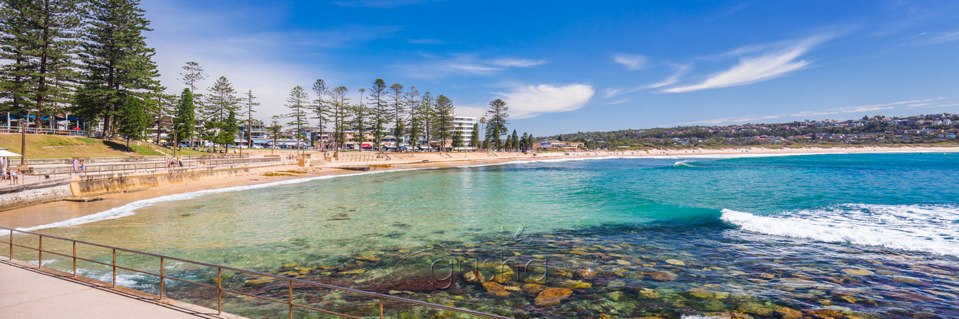 A photo of Dee Why Beach Reserve, at the southern end of the beachfront, has been developed into a family haven with secure playgrounds, expansive walkways and grassed areas, lined with century-old Norfolk Pines. 