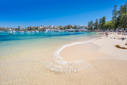Manly Harbour photo