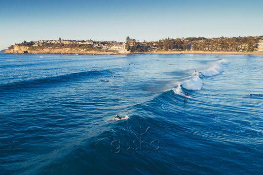An overhead photo of surfers riding waves at Dee Why Beach in Sydney, Australia.