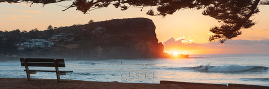 Photo of Avalon Beach in Sydney