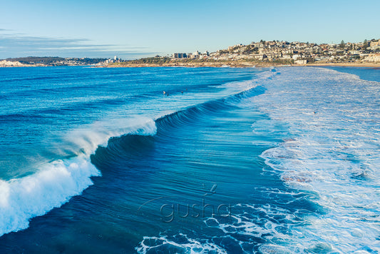 North Curl Curl Photo