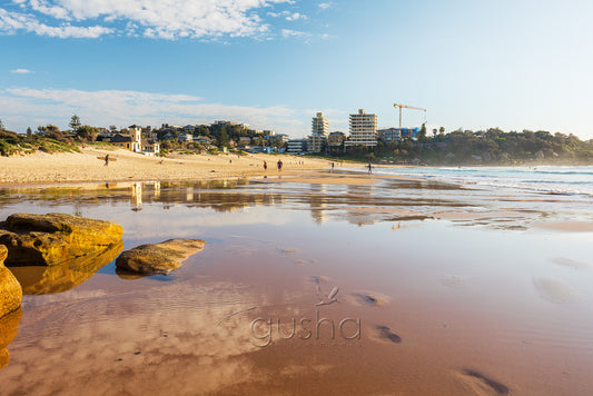 Freshwater Beach Photo